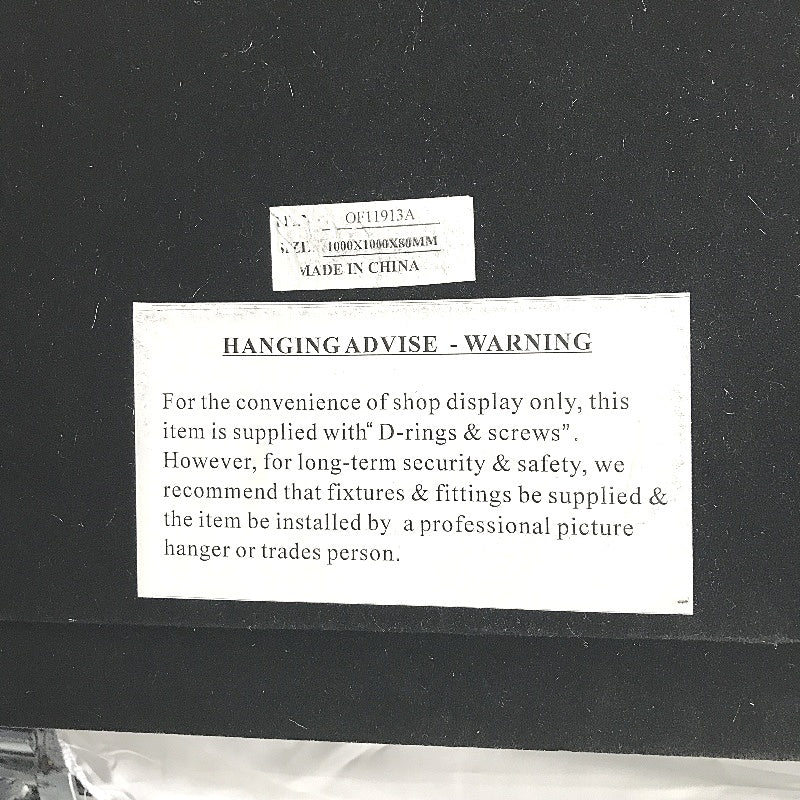 Framed Wall Hanging Art 3D Spatial Sculpture Decorative Display 100x100cm