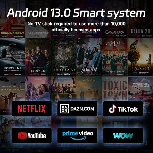 ZoomCat WhaleTV OS C26 1080p Auto Focus BT Smart Home Netflix Projector DEMO