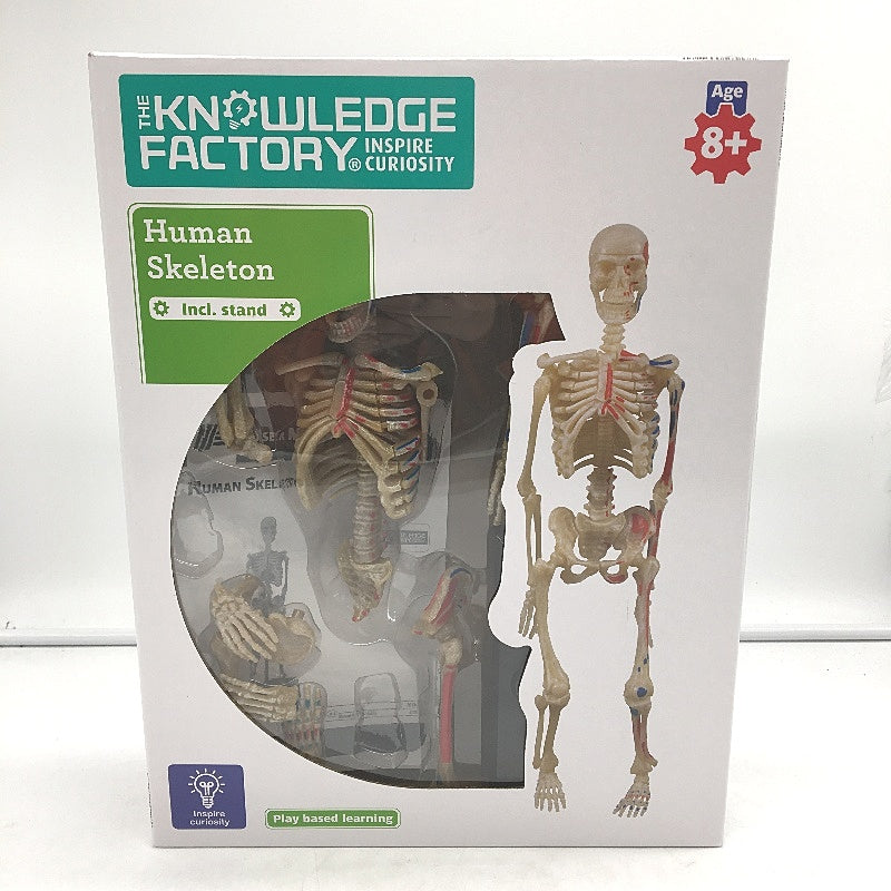 The Knowledge Factory Human Skeleton Building Kit w Stand Educational Toy Age 8+
