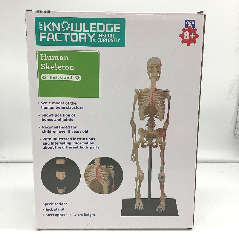 The Knowledge Factory Human Skeleton Building Kit w Stand Educational Toy Age 8+
