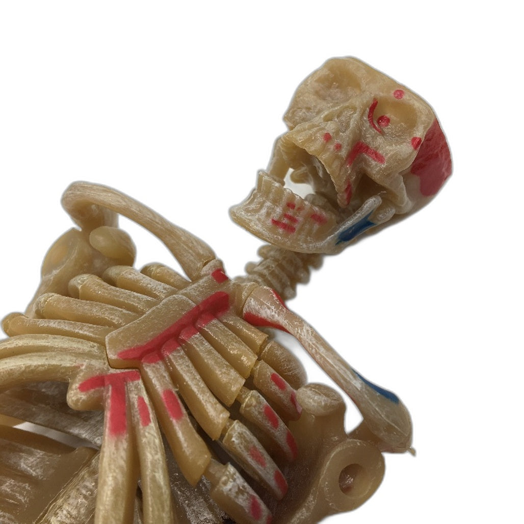 The Knowledge Factory Human Skeleton Building Kit w Stand Educational Toy Age 8+