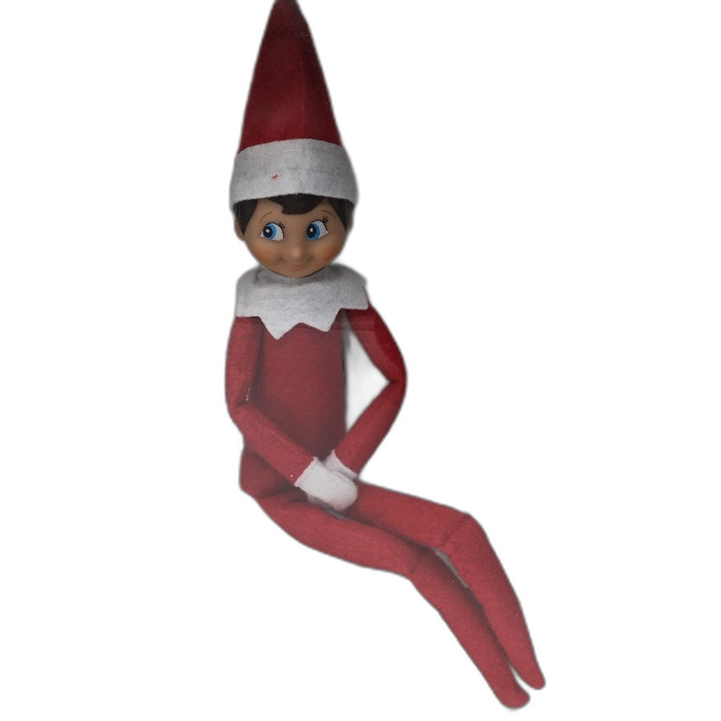 The Elf on the Shelf A Christmas Tradition Box Set Light Tone Boy Version DEMO