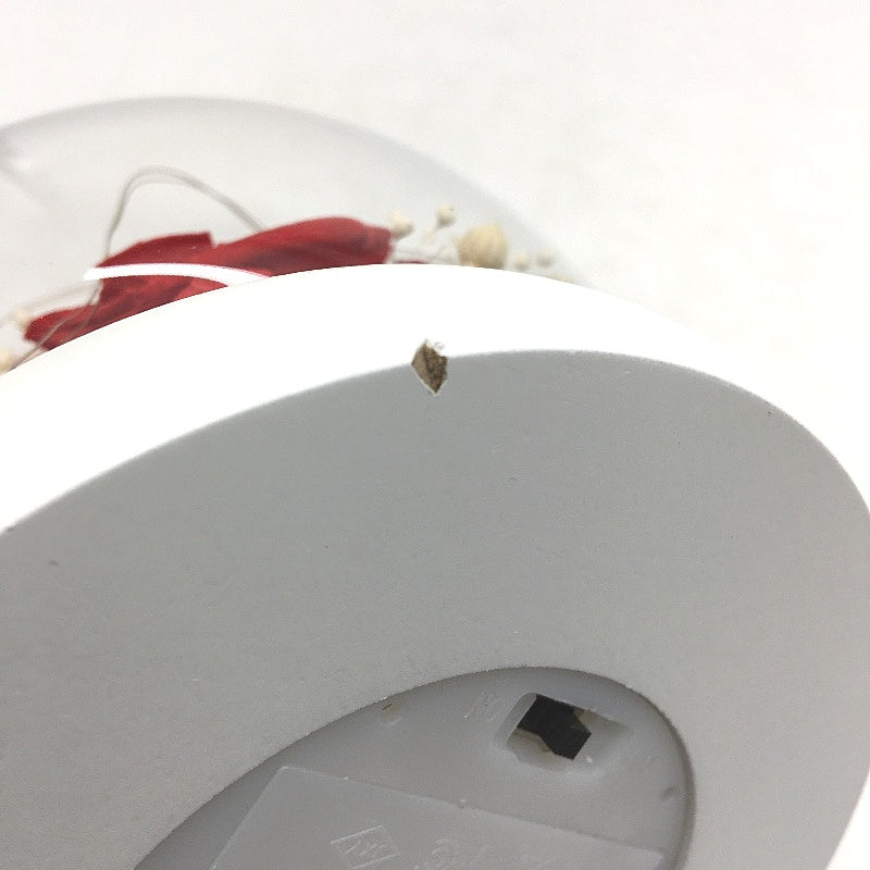 Kylin Glory Forever Flower Real Eternal Preserved Rose With LED Lights Gift NEW