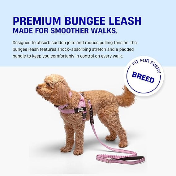Dog Friendly Co Bungee Dog Leash Strain Free Shock Resistant D Ring Regular Size