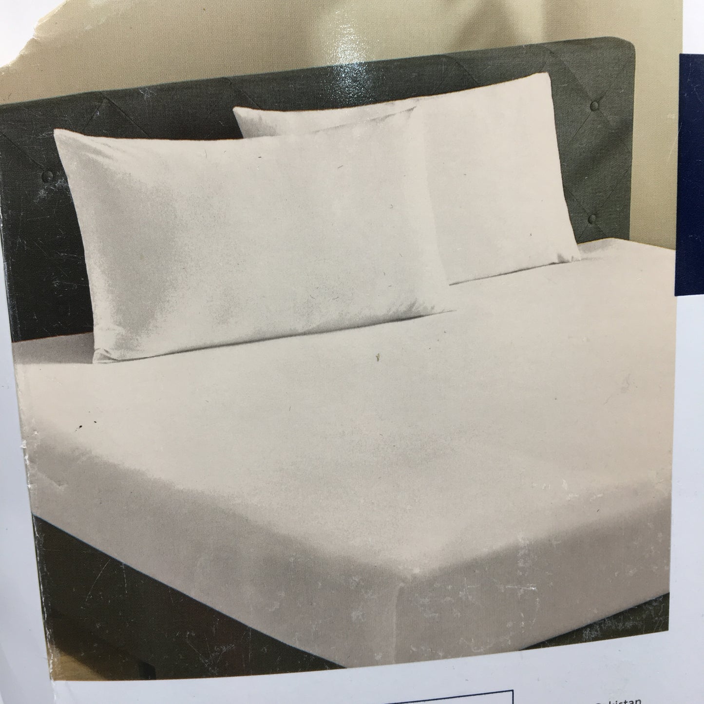 Kirkton House Beige Supersoft Jersey Style Cotton Fitted Sheet Pack KING NEW