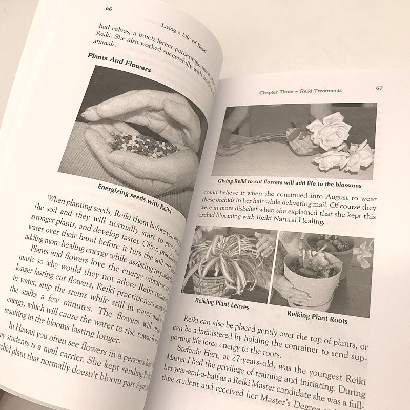 Living a Life of Reiki Book by Shalandra Abbey Paperback NEW