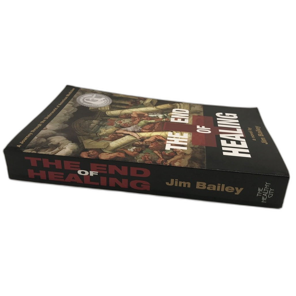 The End of Healing a novel by Jim Bailey Paperback NEW