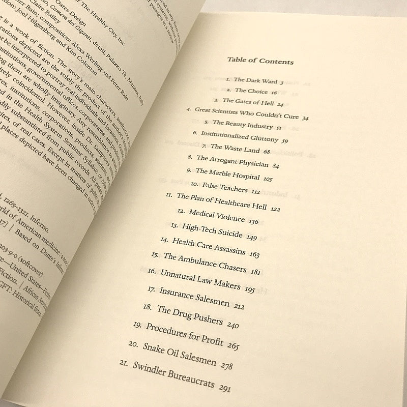 The End of Healing a novel by Jim Bailey Paperback NEW