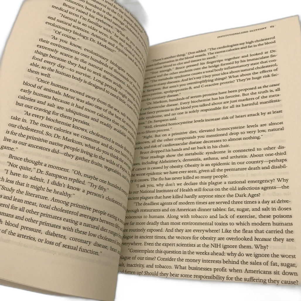 The End of Healing a novel by Jim Bailey Paperback NEW