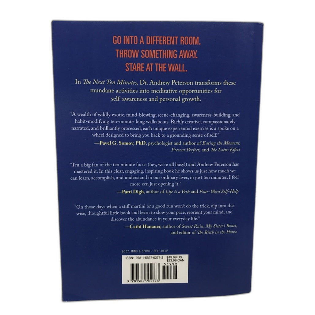 The Next 10 Minutes by Andrew Peterson Book Paperback NEW