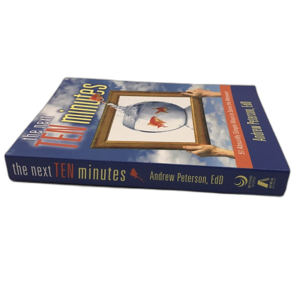 The Next 10 Minutes by Andrew Peterson Book Paperback NEW