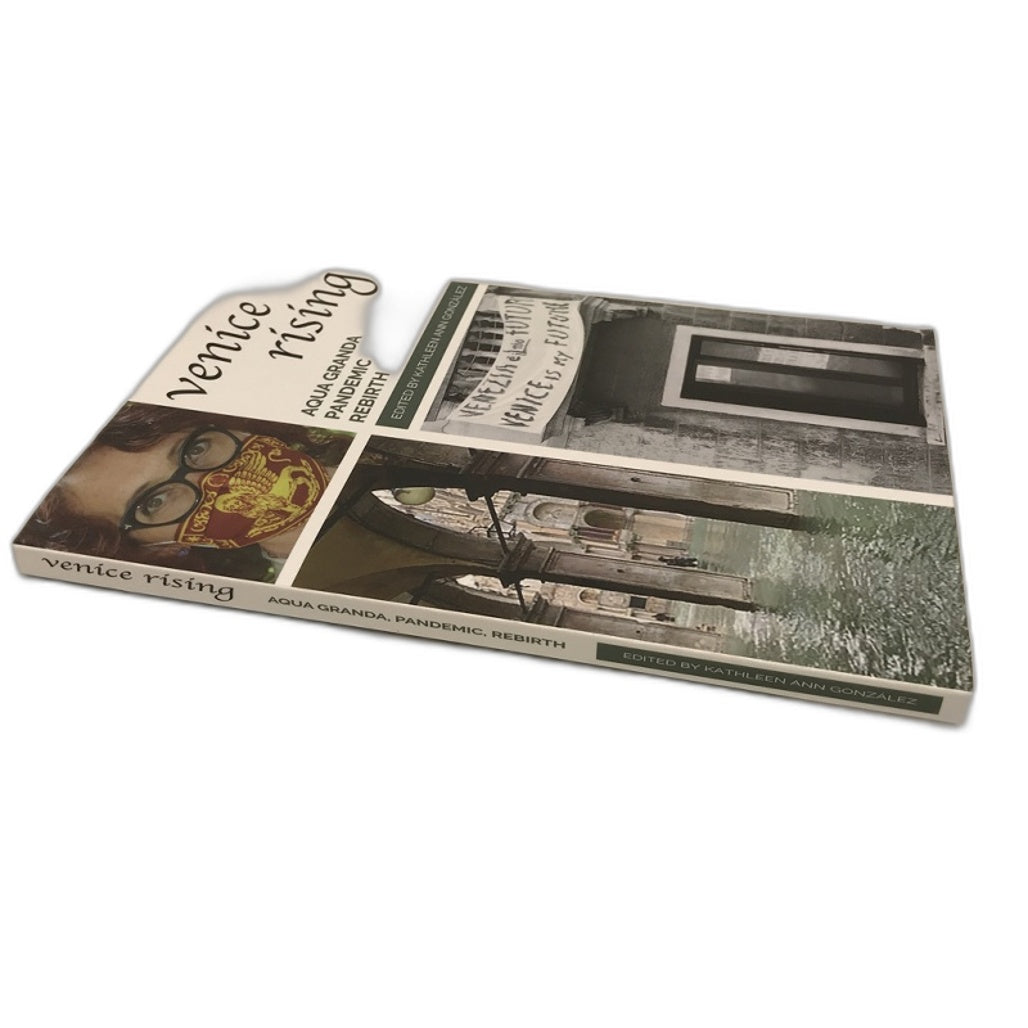 Venice Rising: Aqua Granda Pandemic Rebirth by Kathleen Ann Gonzalez Book Paperback NEW