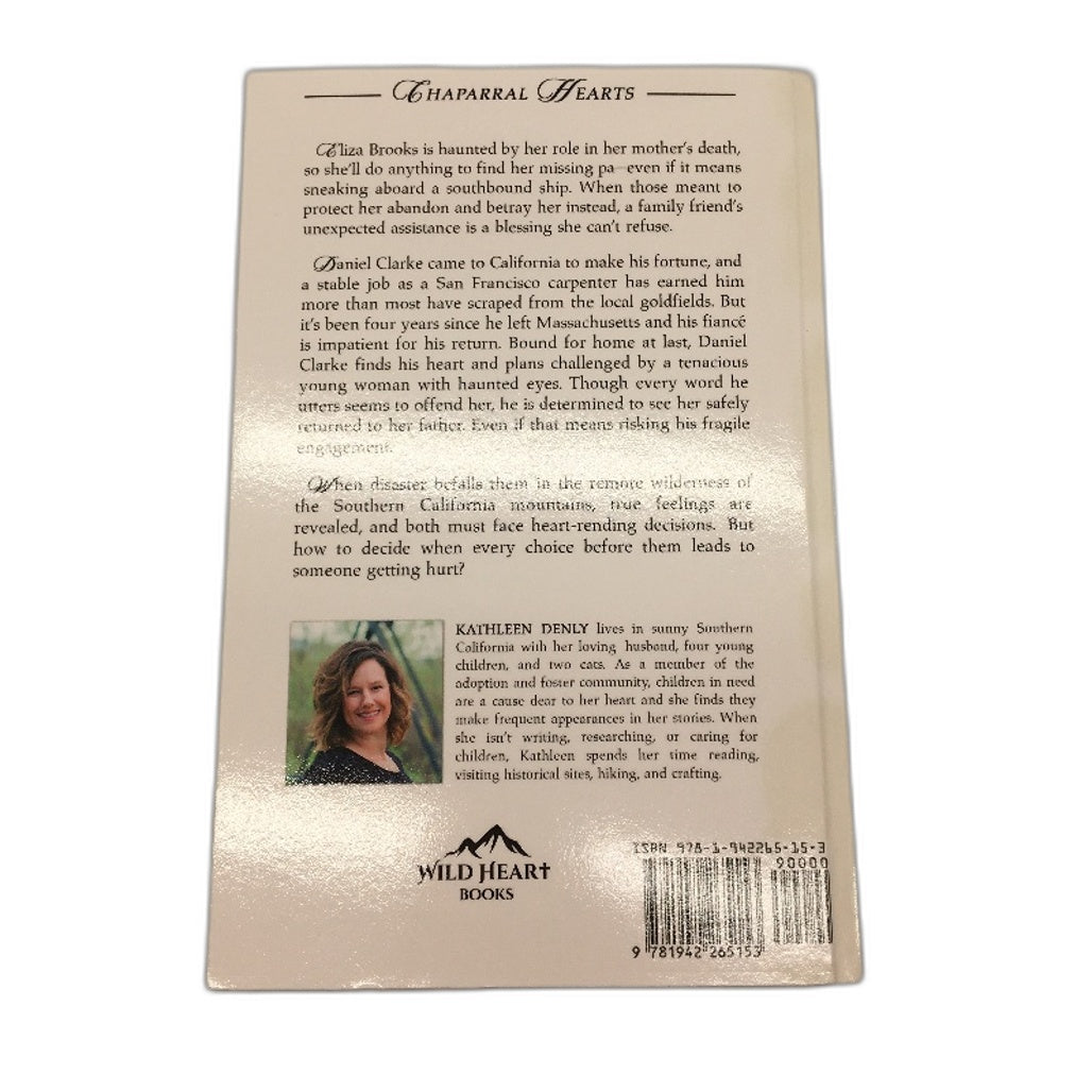 Waltz In The Wilderness Fiction Paperback Novel By Kathleen Denly NEW