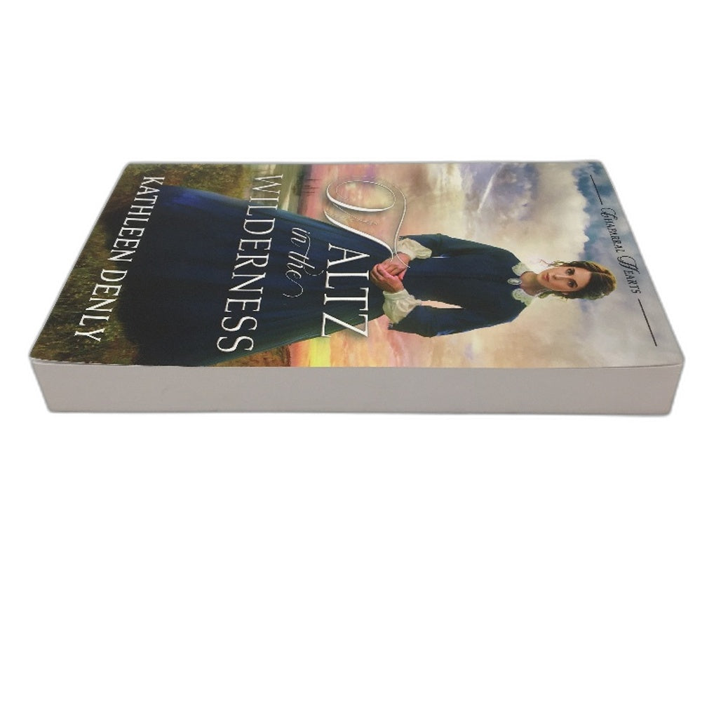 Waltz In The Wilderness Fiction Paperback Novel By Kathleen Denly NEW