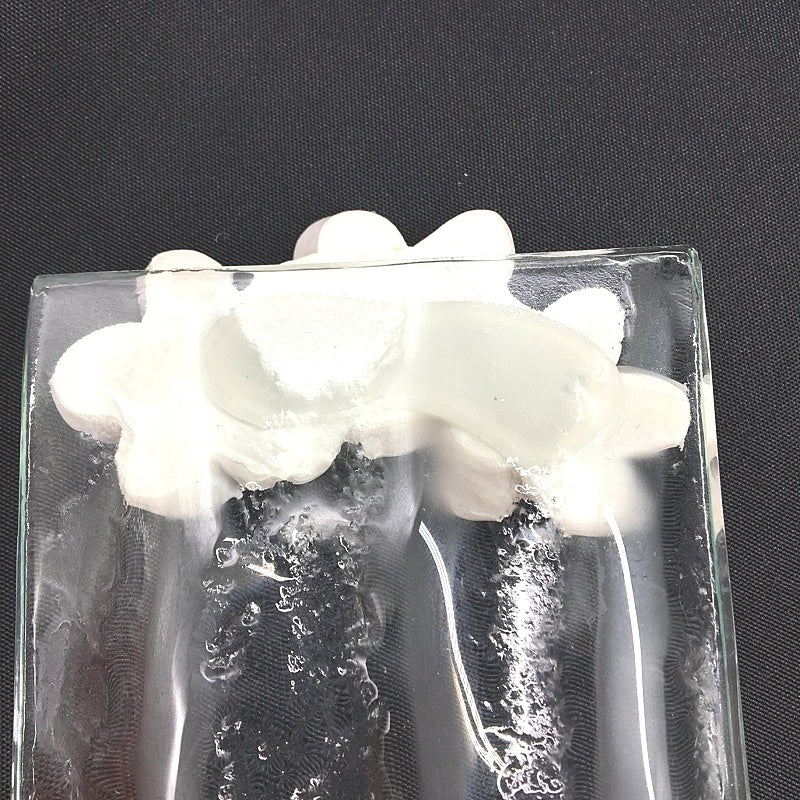 Classique Design 3 Pce Glassware Home Decor Plate Set White Hibiscus Floral NEW