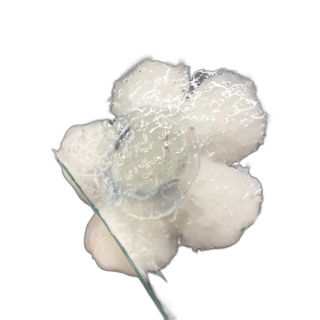 Classique Design 3 Piece Glass Square Plates Floral Theme Home Decor NEW