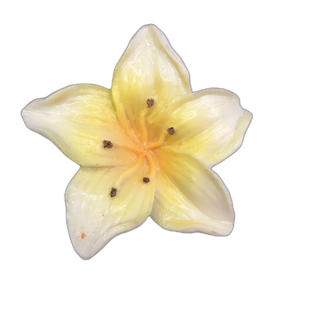 Classique Designs 3 Piece Glass Rectangle Plates Floral Theme Home Decor NEW