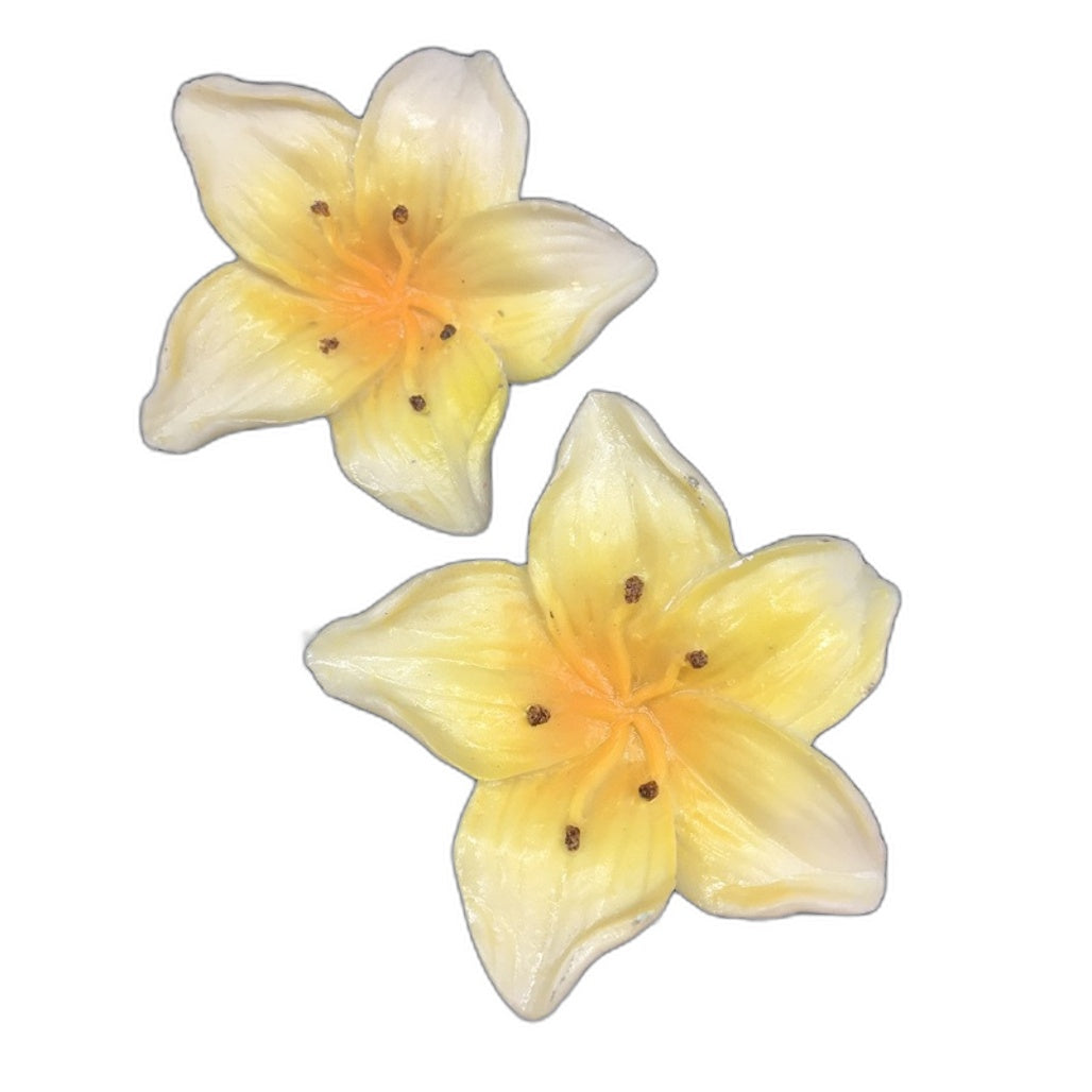 Classique Designs 3 Piece Glass Rectangle Plates Floral Theme Home Decor NEW