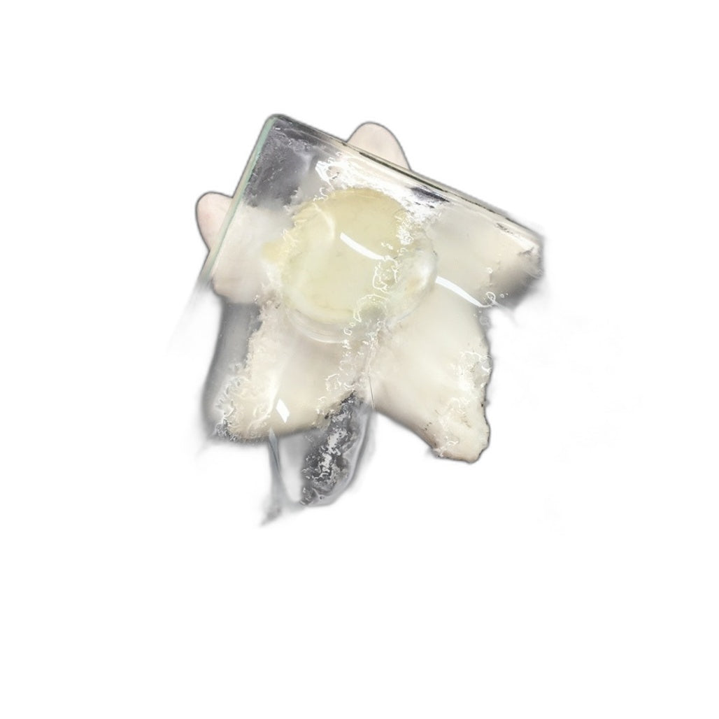 Classique Designs 3 Piece Glass Rectangle Plates Floral Theme Home Decor NEW