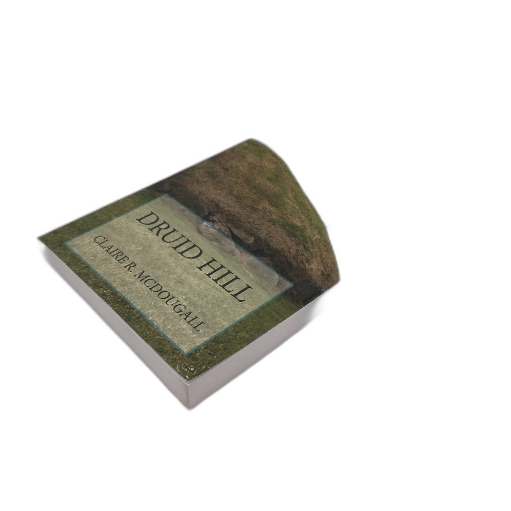 Druid Hill Sequel To Veil Of Time Timetravel Novel by Claire R McDougall NEW