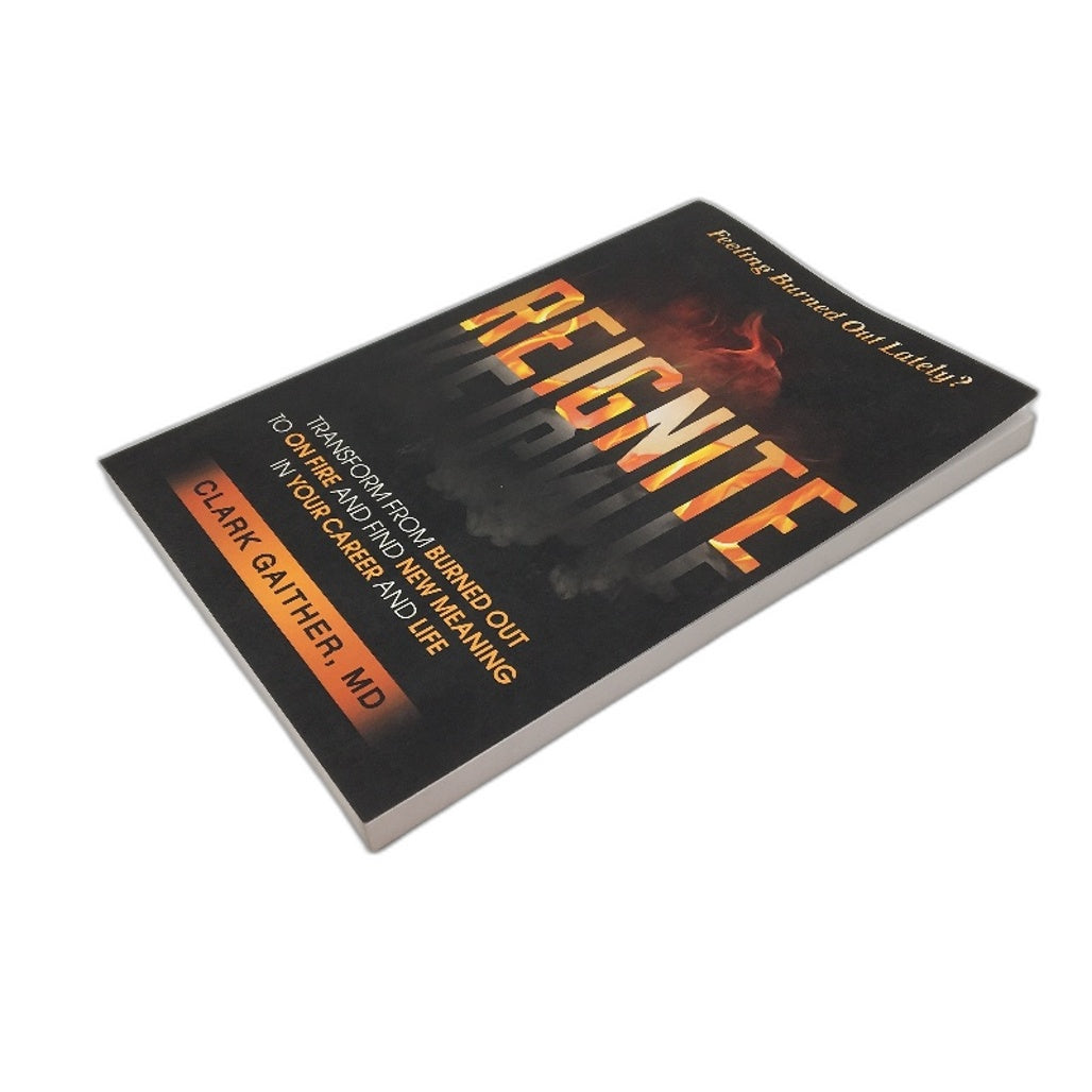 Reignite - Career & Life Meaning Self Help Book by Clark Gaither MD NEW