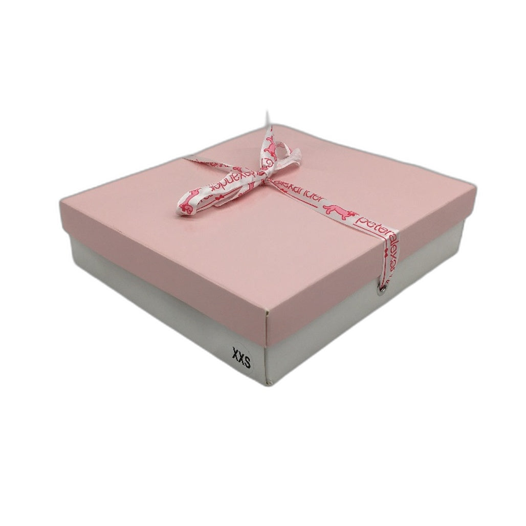 Peter Alexander Pretty Pink Lace Trim Bamboo Slip Nightie Ladies Size 2XS NEW