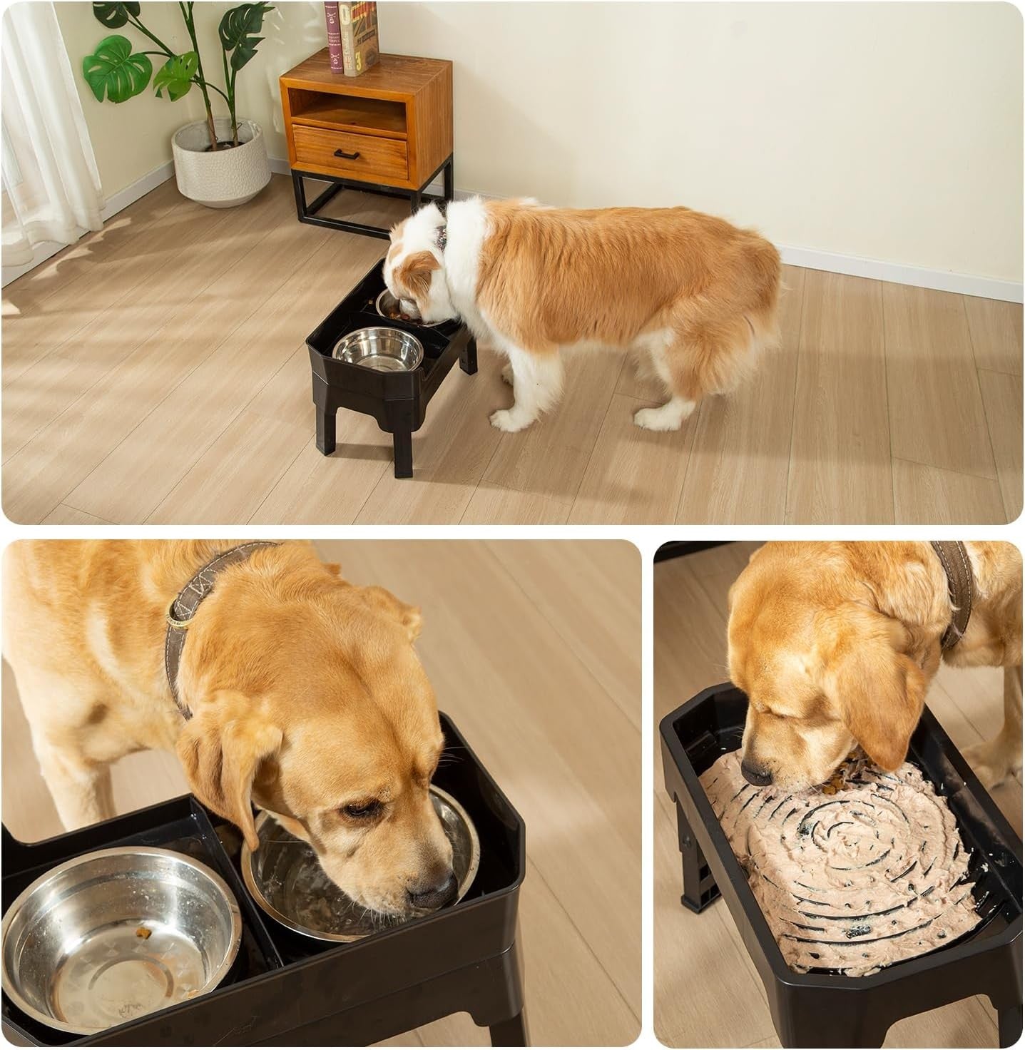 YY FOREYY 4-in-1 Adjustable Elevated Dog Bowls with Slow Feeder Online Australia