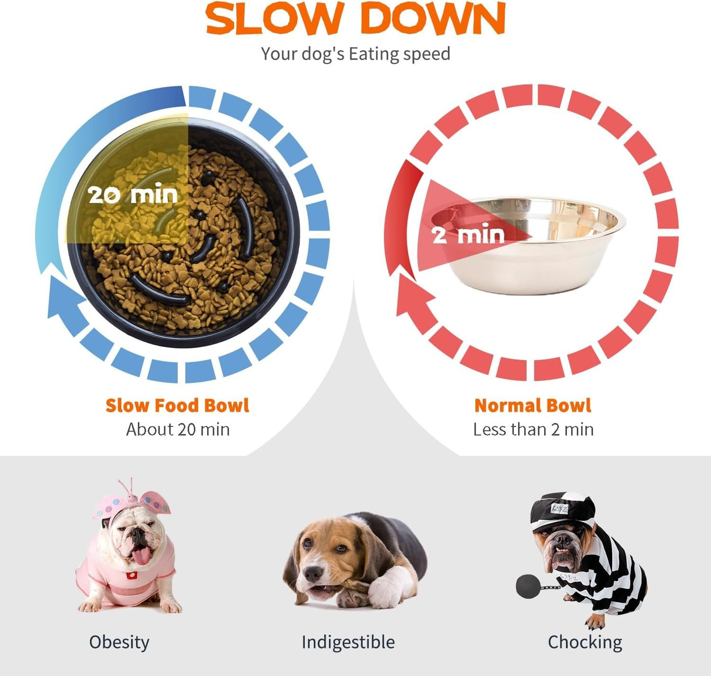 YY FOREYY 4-in-1 Adjustable Elevated Dog Bowls with Slow Feeder Online Australia