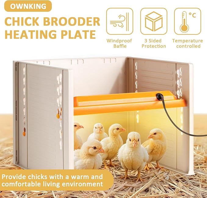 25W Chicken Brooder Hot Plate Heater for Baby Chicks 25x25cm in Orange NEW
