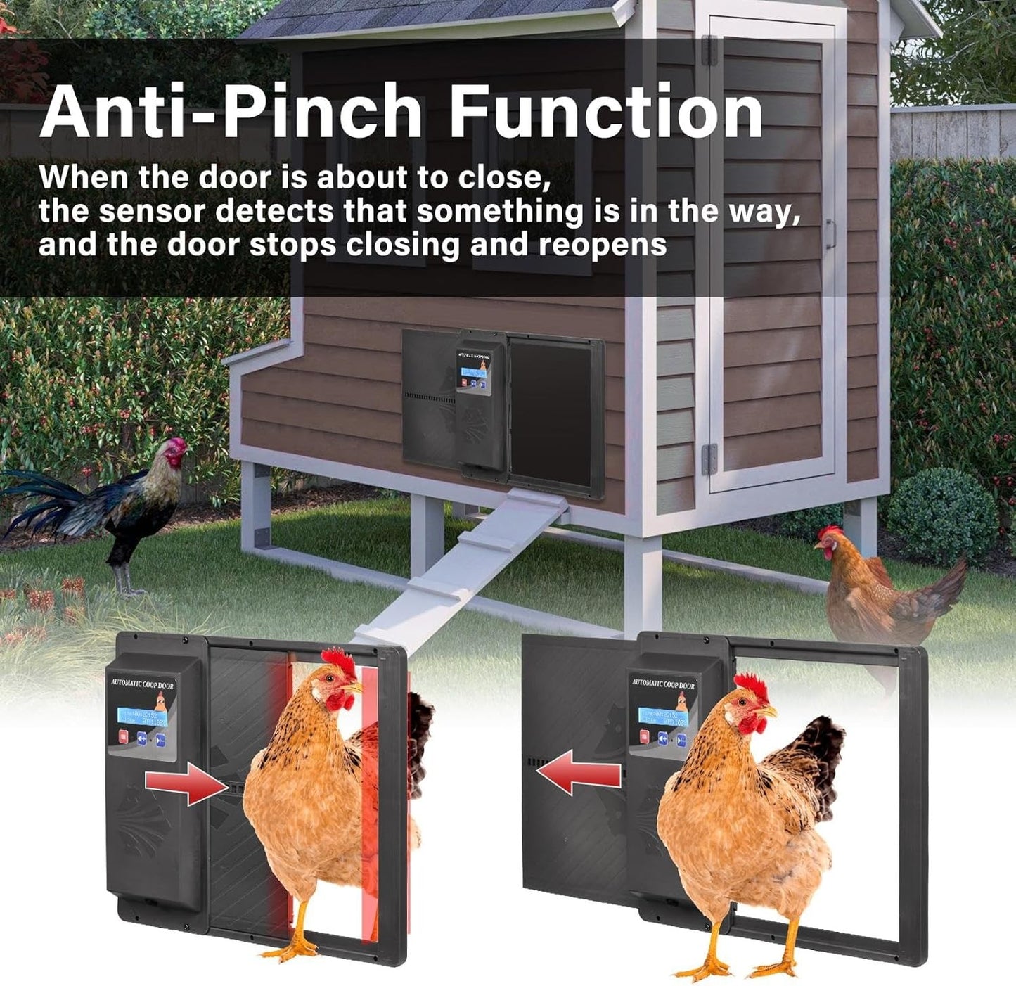 EtheQuandrile Automatic Chicken Coop Door with Timer & USB Charging