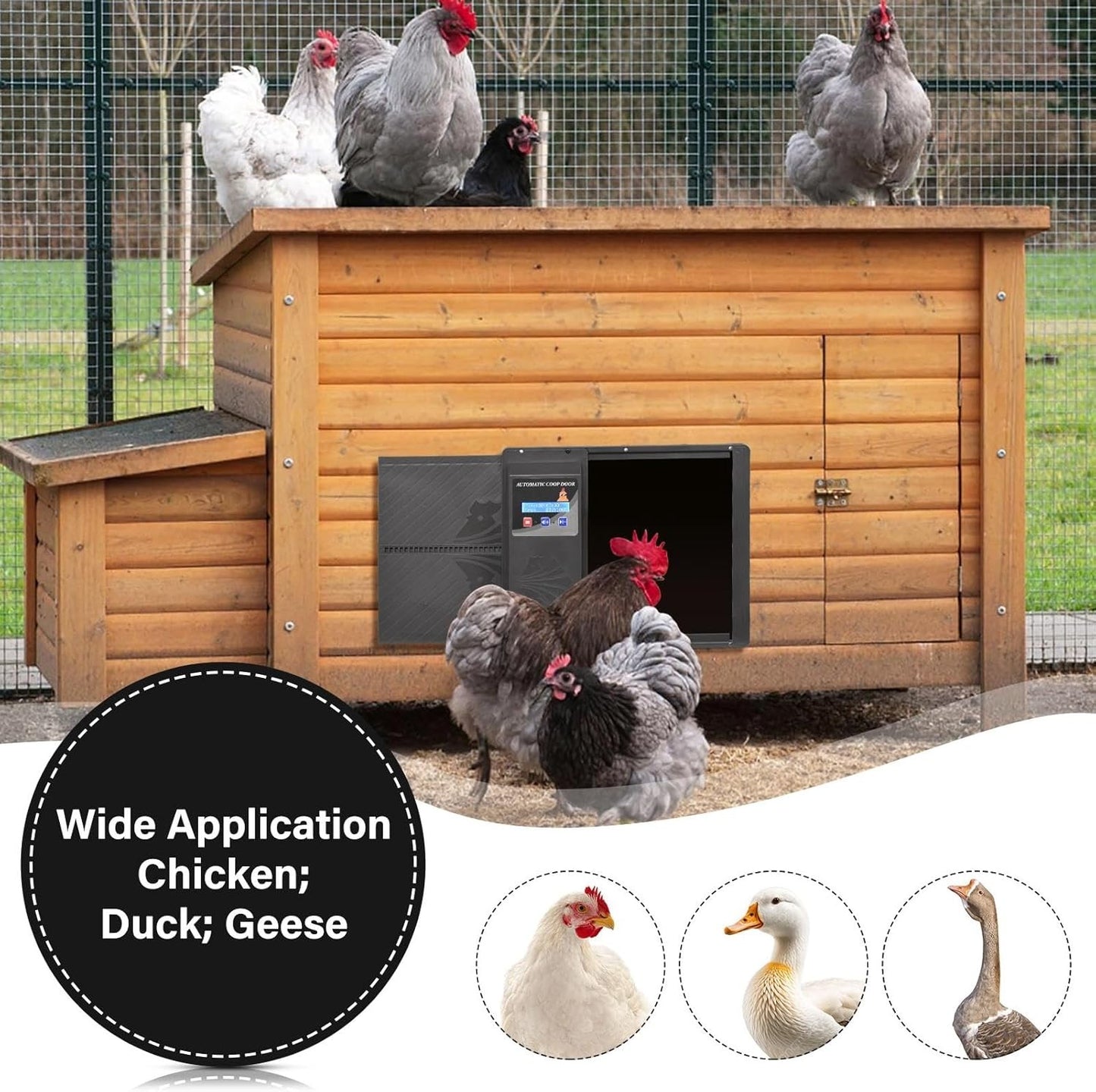 EtheQuandrile Automatic Chicken Coop Door with Timer & USB Charging