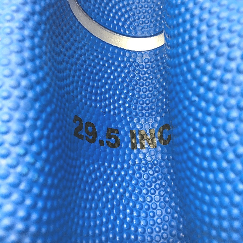 Metalliic Series Blue & Silver 29.5 Inch Indoor & Outoor Basketball DEMO