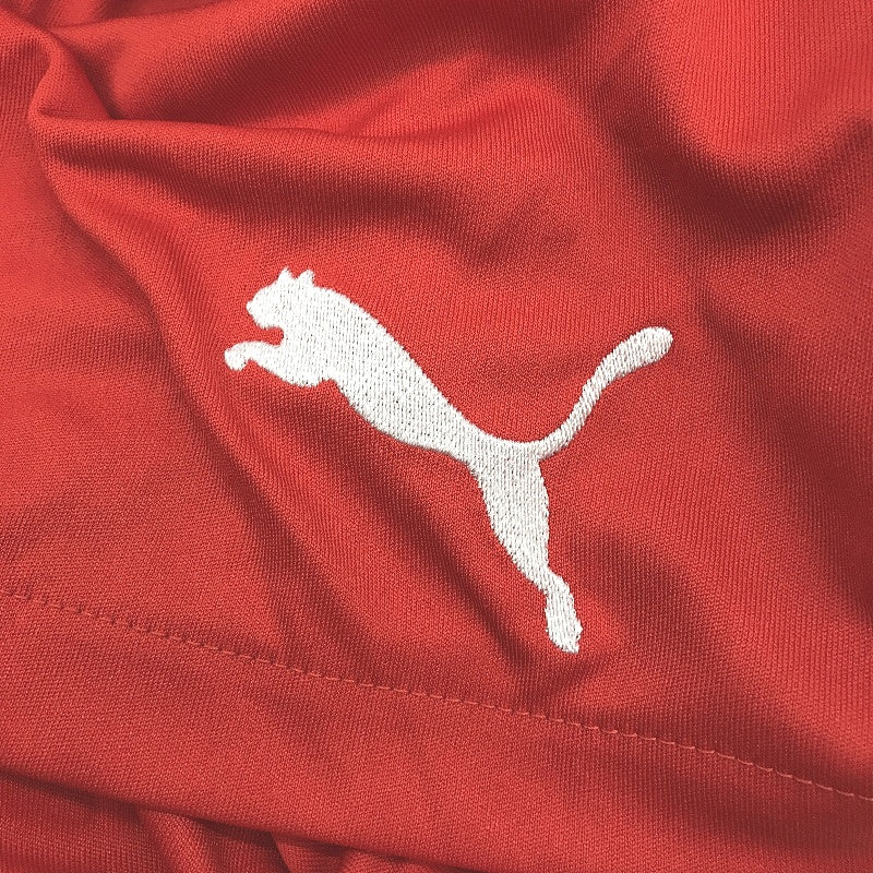 PUMA Red Verlize Shorts With Drawstring Elastic Waistband Training Shorts NEW