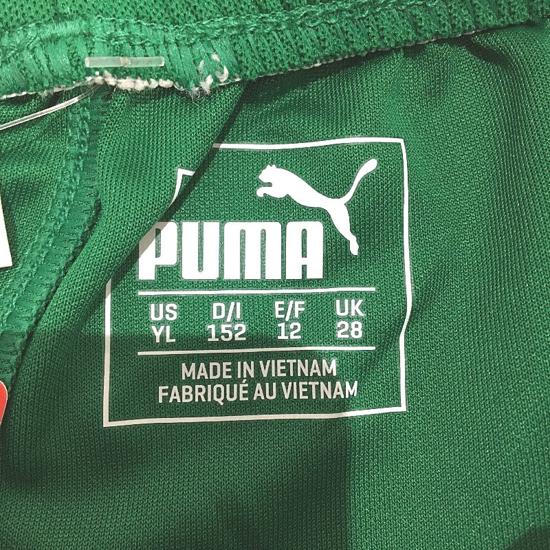 PUMA Junior Green & White Pitch Shorts Without Brief Kids Youth Size L /152 NEW
