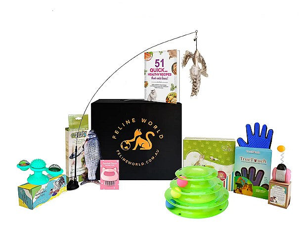 Feline World 7 Piece Toy Box Inc Roley Grooming Mitt & Comb Teaser Bird NEW