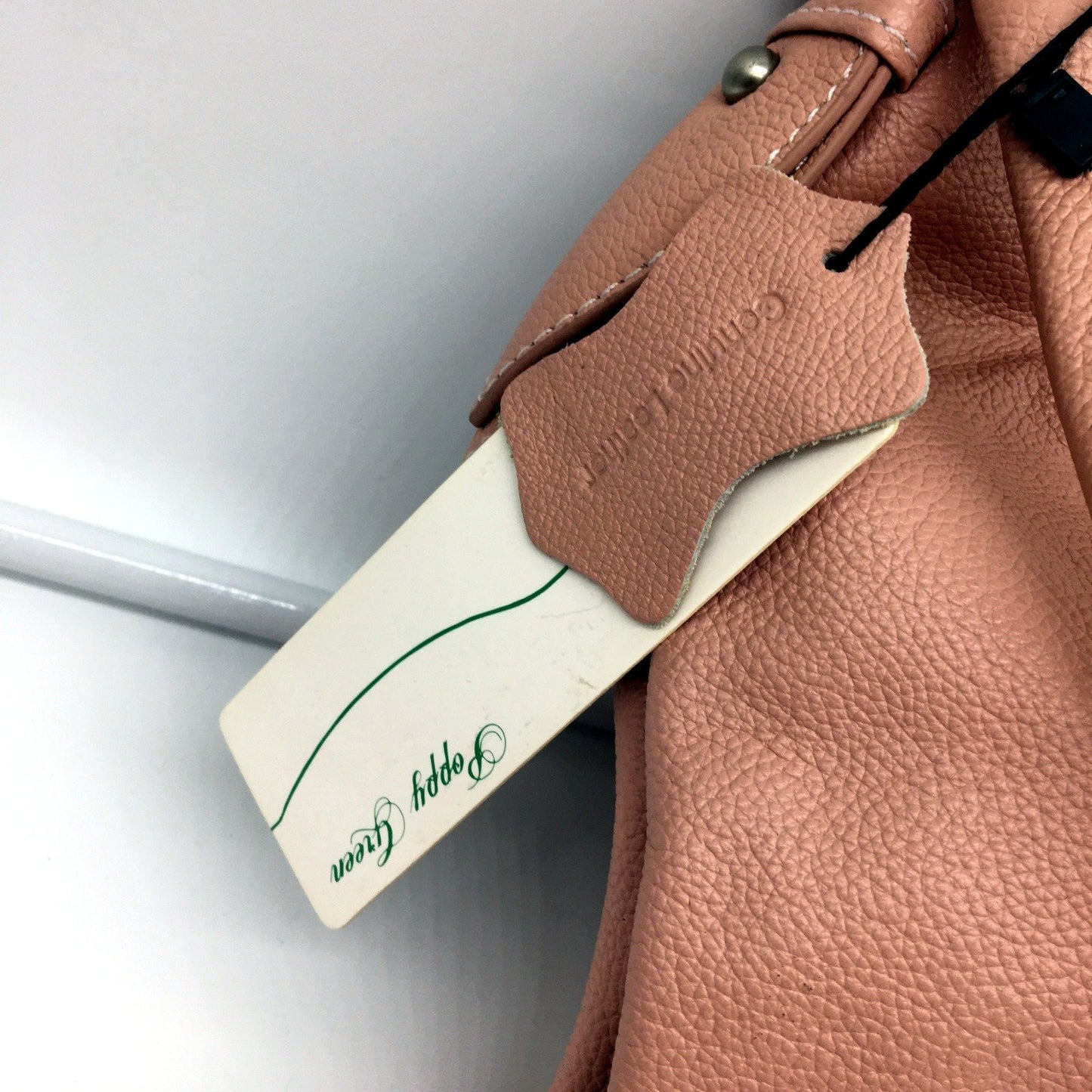 Poppy Green Womens Leather Hobo Handbag Blush Pink Stylish Versatile Bag NEW