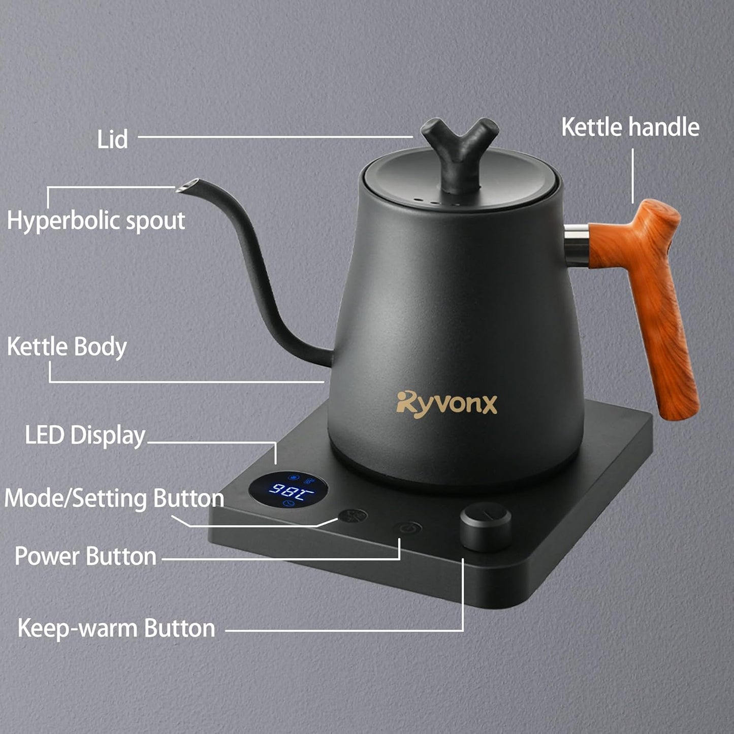 Ryvonx Electric Kettle with Temperature Control LCD Display 1L Stainless DEMO