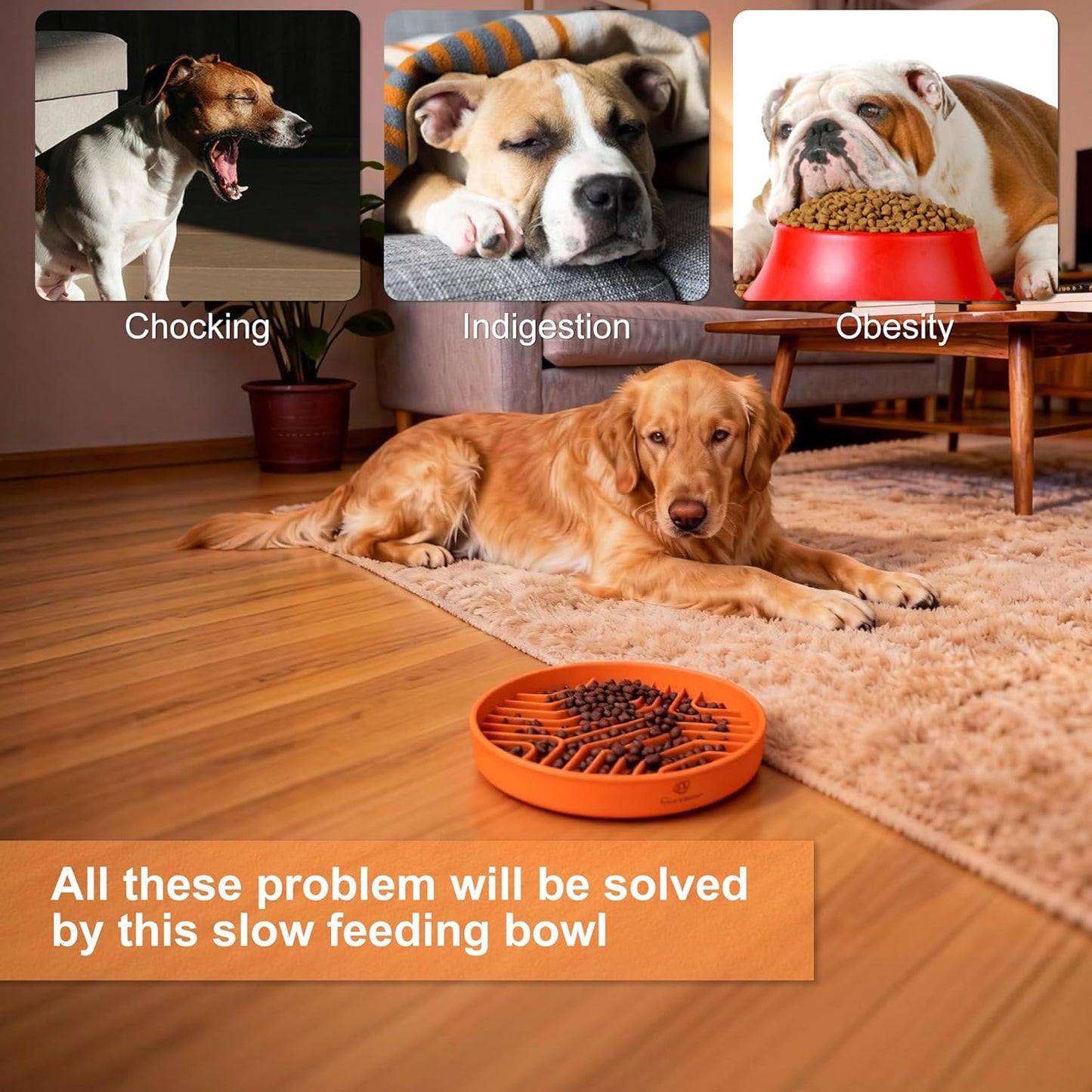 Spring Blossoms Silicone Dog Feeding Bowls with Suction Cups, Orange, 70-76 NEW