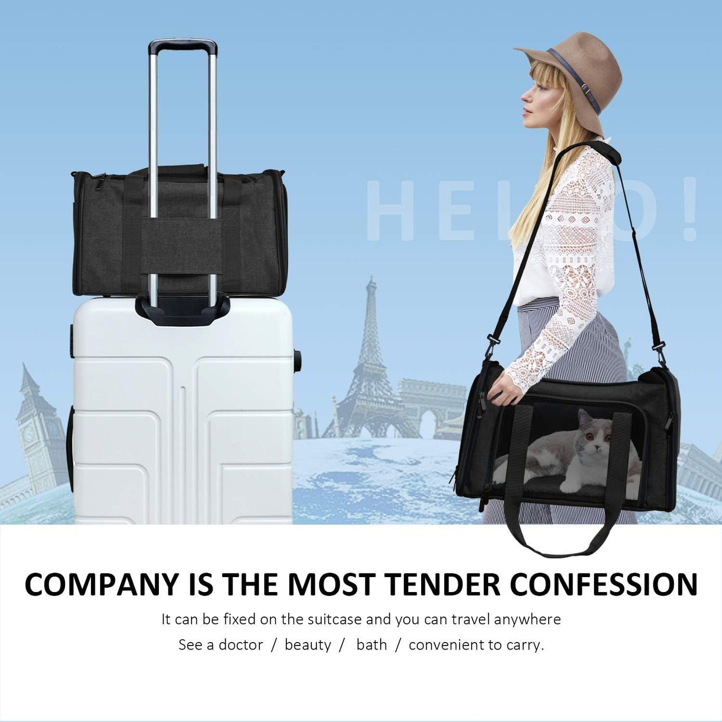 Henkelion Large Soft-Sided Pet Carrier for Cats Dogs Puppies Black Size L NEW