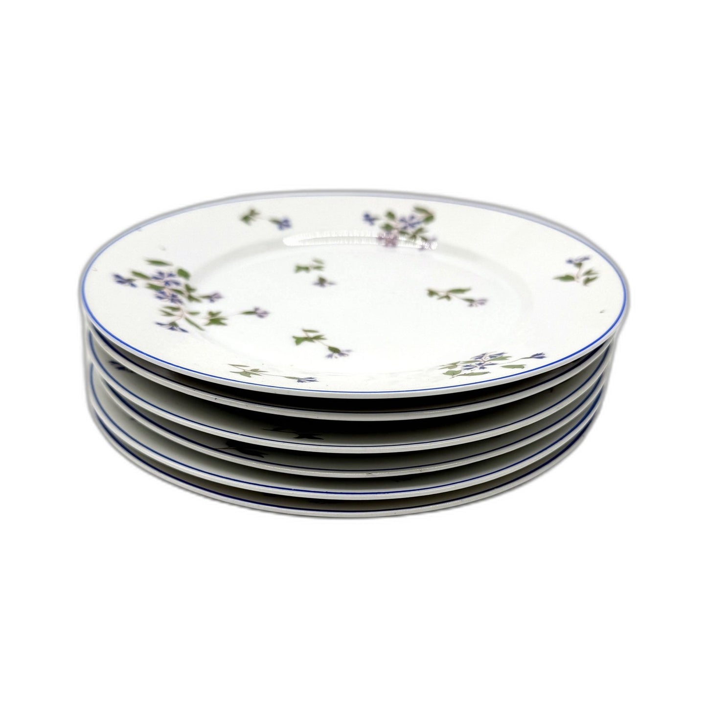 Swiss Made Suisse Langenthal 6Pce Dessert Cake Plate Set Blue Floral Pattern