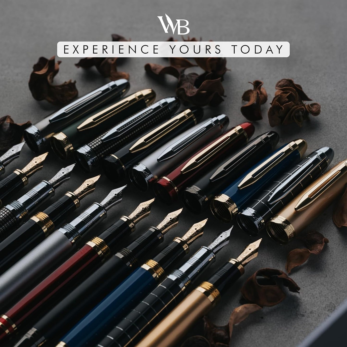 Wordsworth & Black Majesti Fountain Pen Set with Extra Fine Nib in Red Gold DEMO
