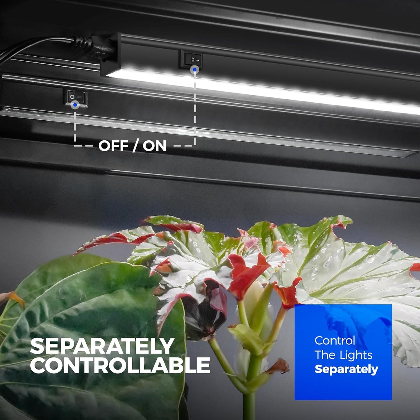 Barrina T5 Growing Lamps 1FT Full Spectrum 10W 5000K Grow Lights, 6-Pack, DEMO