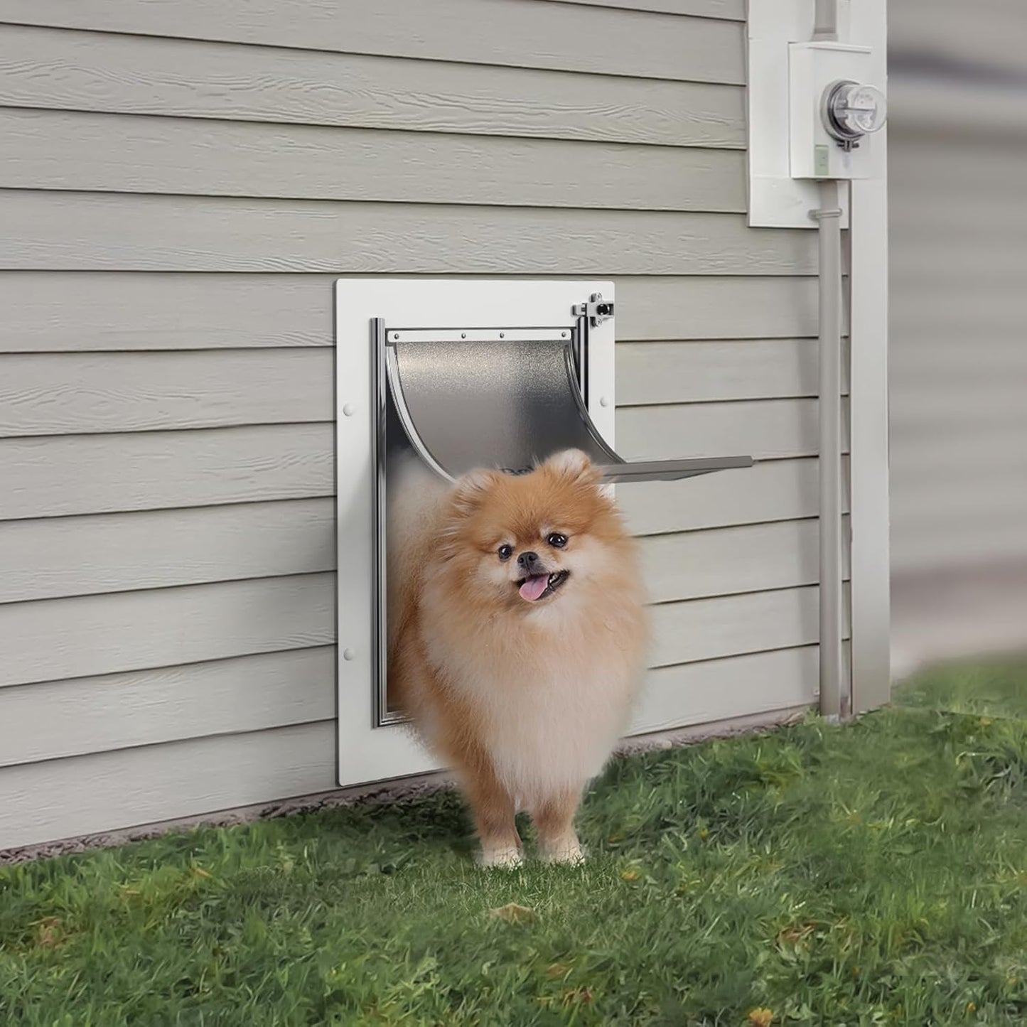 Baboni 3-Flap Doors Pet Door Medium Steel Frame Telescoping Tunnel DEMO