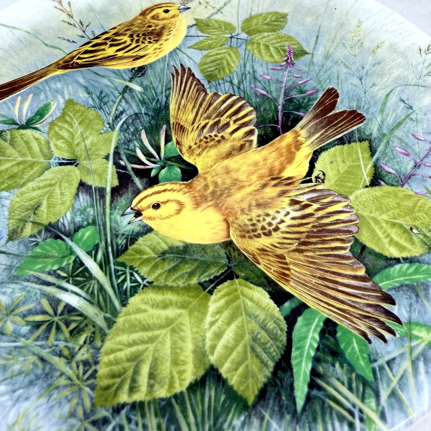 Royal Doulton 1988 Yellowhammer Decorative Plate Birds Hedgerow Limited Edition