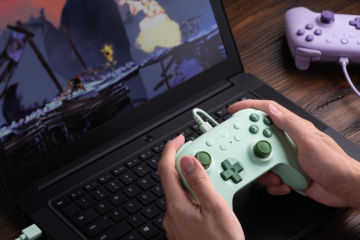 8BitDo Ultimate 2C Wired Gaming Controller for Windows PC and Android DEMO