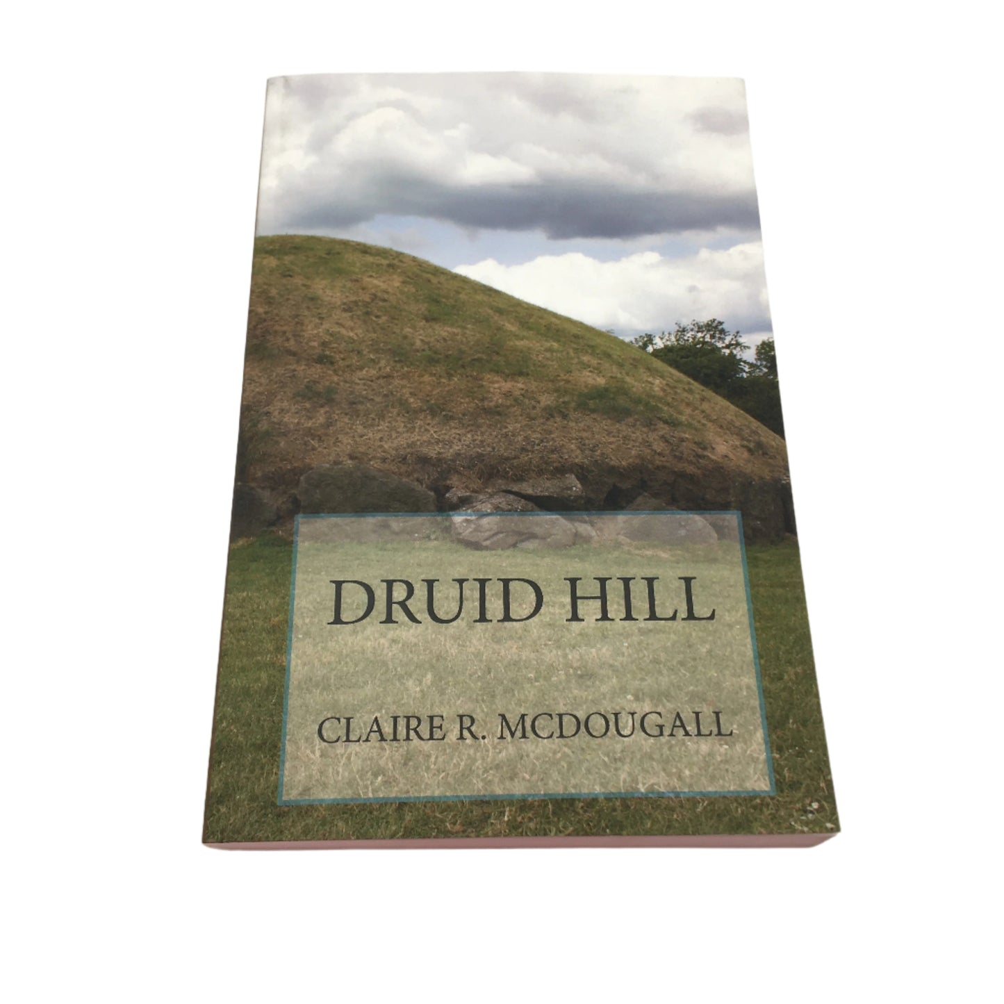 Druid Hill Sequel To Veil Of Time Timetravel Novel by Claire R McDougall NEW