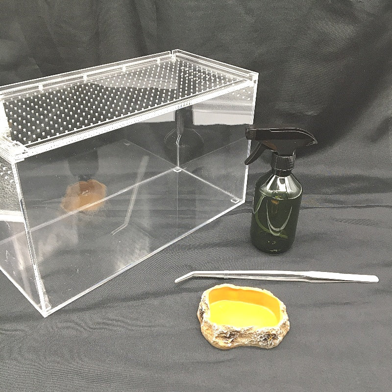KAKOOTI 36x17x22cm Clear Acrylic Reptile and Large Bug Terrarium Kit NEW