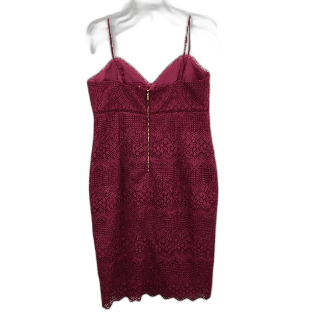 Ever New Penelope Linear Lace Magenta Midi Dress Ladies Size AU 14 NEW