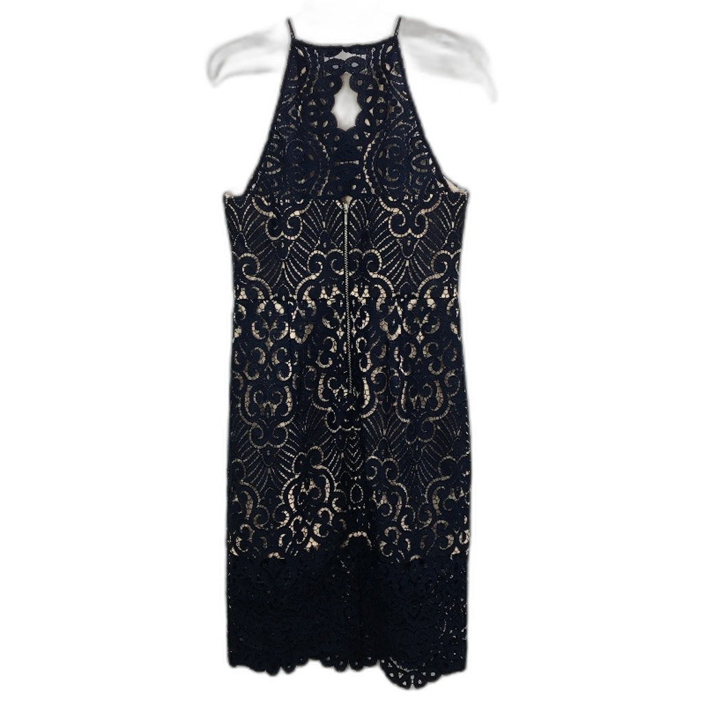 Ever New Debbie Woven Lace Navy and Nude Pencil Dress Ladies Size AU 12 NEW