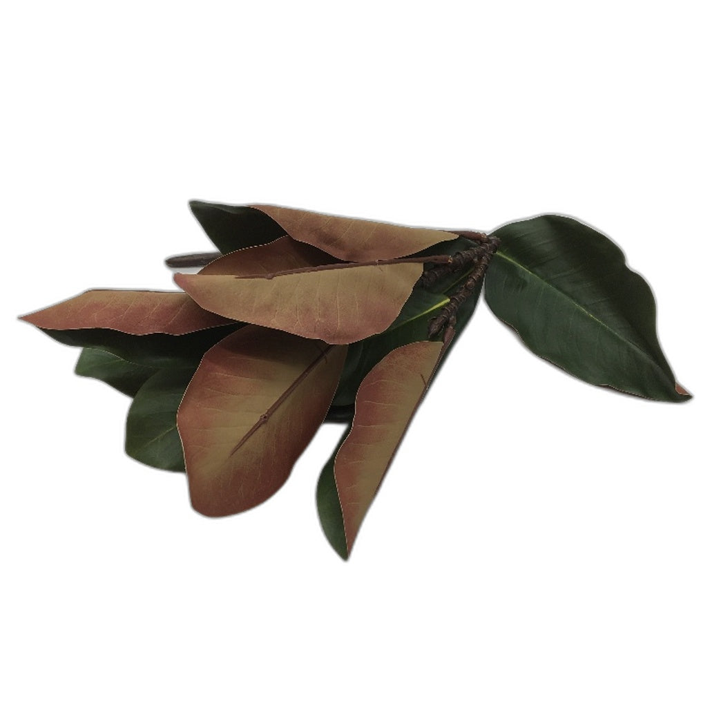 OBDXZHC 4 Piece 22 Inch Artificial 3D Touch Magnolia Leaf Branches NEW